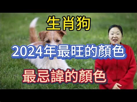 2023屬狗幸運物|2023生肖運勢｜屬狗桃花運旺小心情迷意亂？雲文子奇門遁甲202